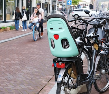 Electric Bike